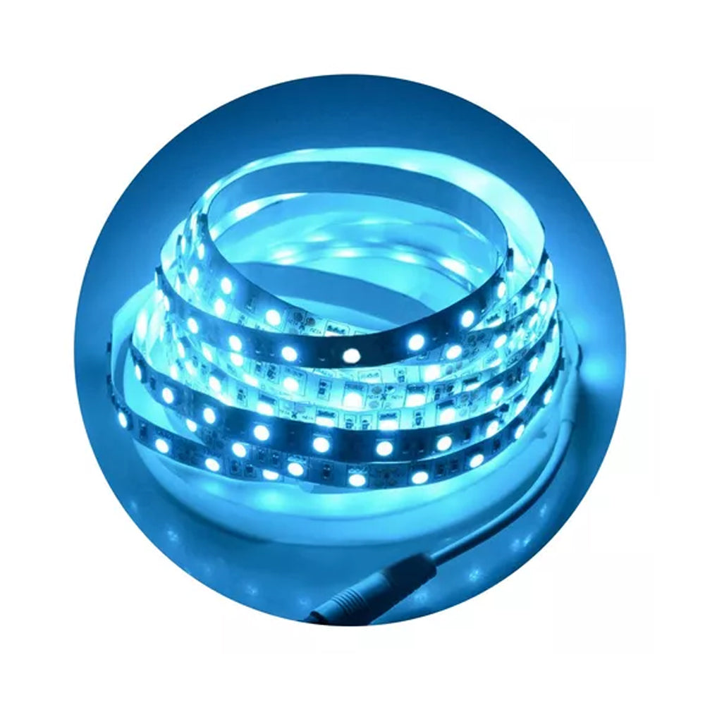 Tira Led 2835 12v 5 Metros Ip20 Interior